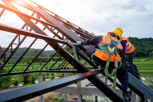 Professional Roofing Contractor in Mount Hore, WI