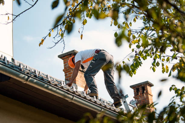 Best Roof Waterproofing Services  in Mount Hore, WI