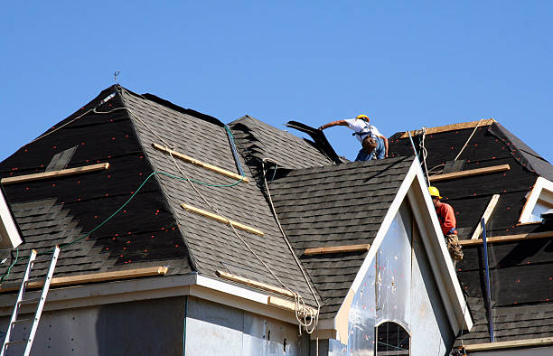 Best Local Roofing Companies  in Mount Hore, WI