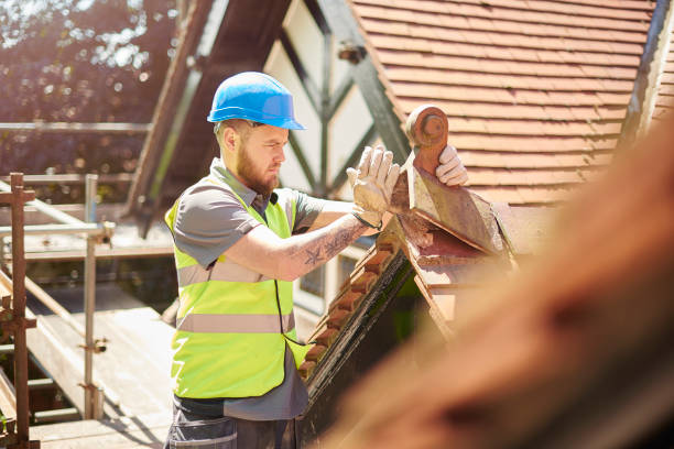 Best Storm Damage Roof Repair  in Mount Hore, WI